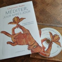 Méditer, jour après jour