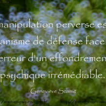 Vide intérieur du manipulateur pervers