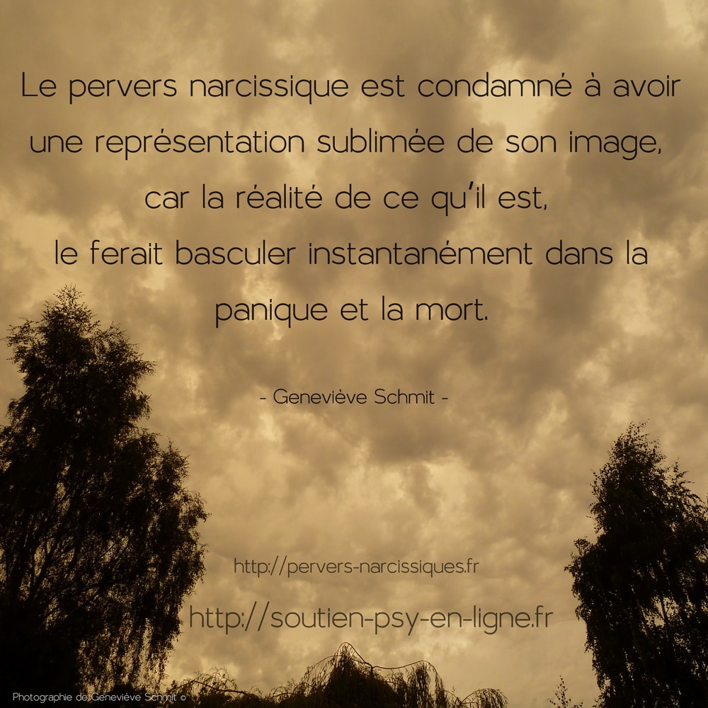 Comment Démasquer Un Pn En Justice Fonctionnement du pervers narcissique, homme ou femme