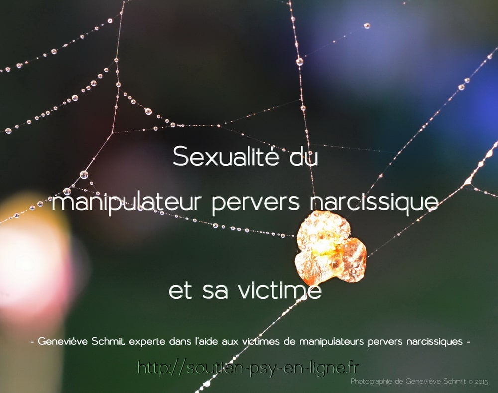 Sexualité du pervers narcissique - Geneviève Schmit - http://soutien-psy-en-ligne.fr