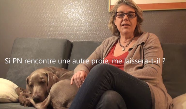 Le manipulateur pervers narcissique va-t-il me lâcher s'il rencontre une autre proie ? Une vidéo de Geneviève SCHMIT