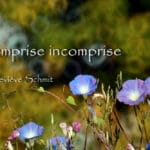 L'emprise incomprise. Geneviève SCHMIT