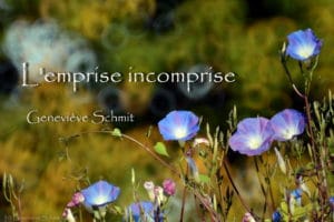 L'emprise incomprise. Geneviève SCHMIT