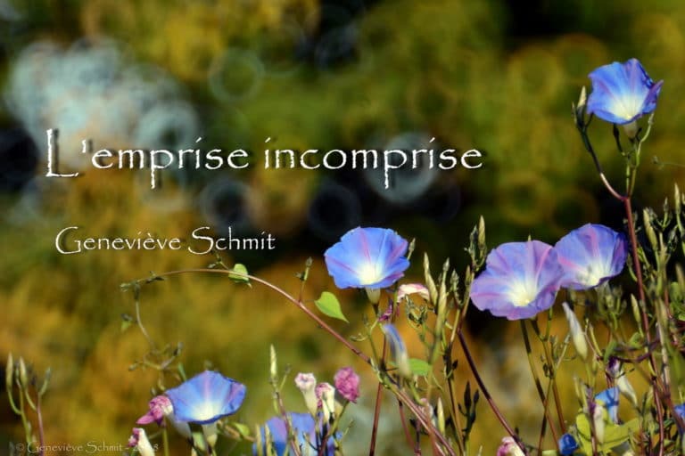 L'emprise incomprise. Geneviève SCHMIT