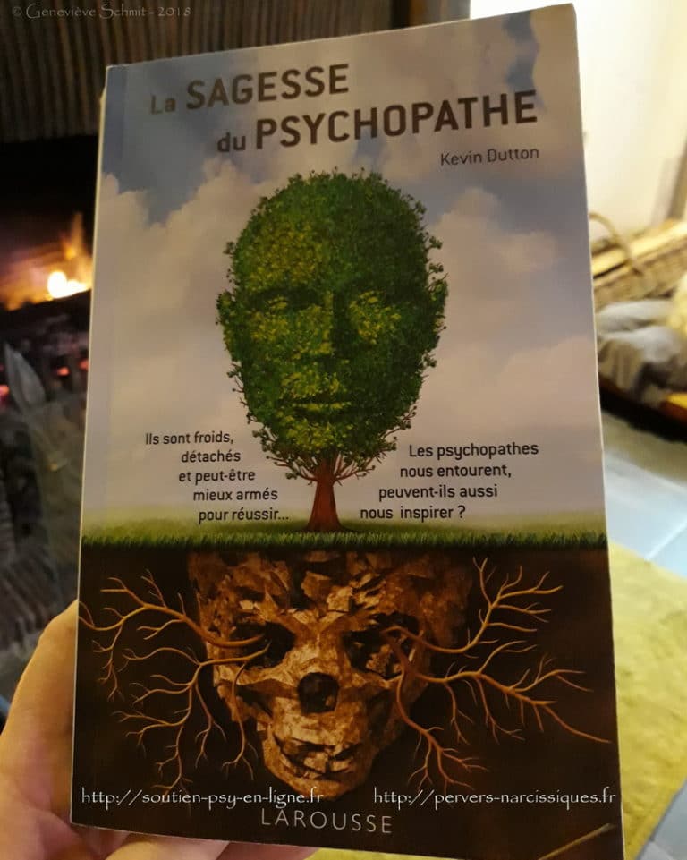 La sagesse du psychopathe - Kevin BUTTON