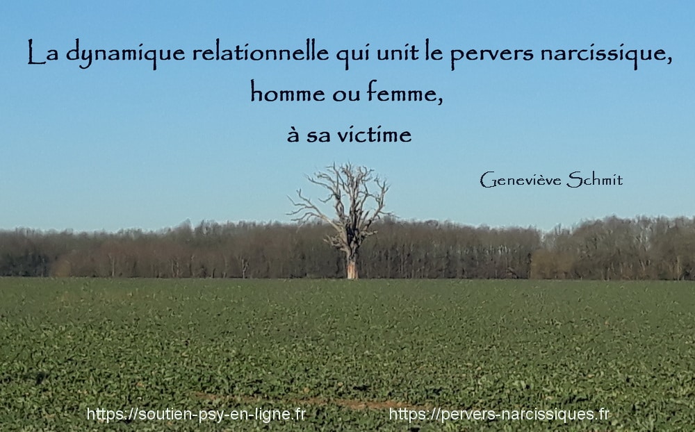 La dynamique relationnelle qui unit le pervers narcissique, homme ou femme, à sa victime