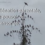 Aliénation parentale - Le pouvoir du mensonge - Geneviève SCHMIT