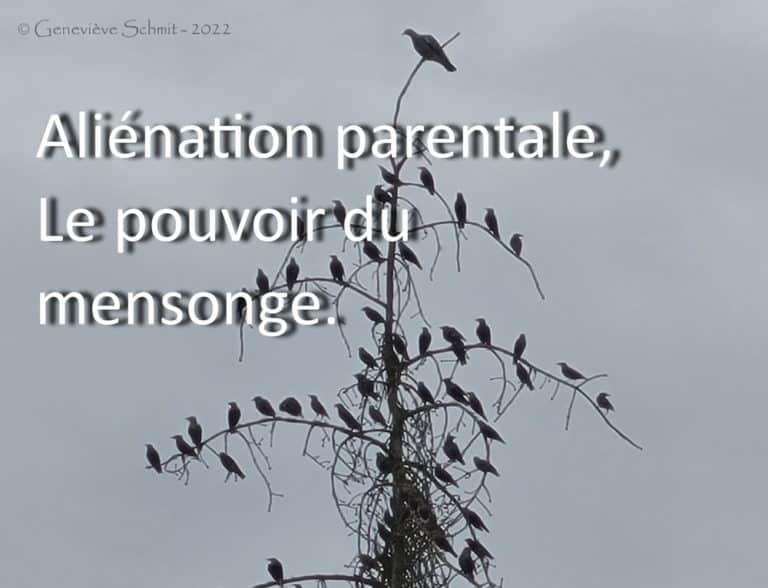 Aliénation parentale - Le pouvoir du mensonge - Geneviève SCHMIT