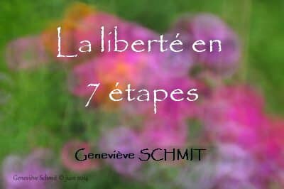 La liberté en 7 étapes - Je ne veux plus être victime de pervers narcissiques. Geneviève SCHMIT