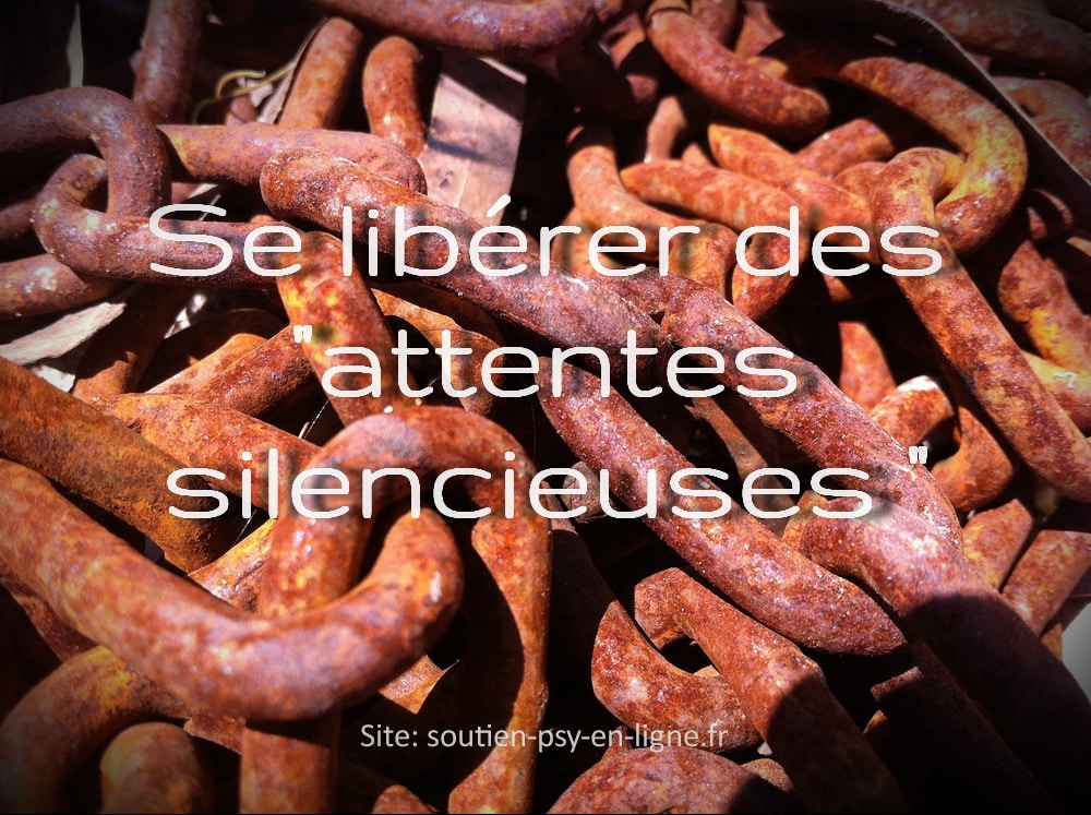 Se libérer des attentes silencieuses - Geneviève SCHMIT