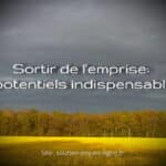 Les 5 potentiels essentiels pour se libérer de l'emprise perverse : lucidité, courage, persévérance, autonomie et humilité. Guide expert. Geneviève SCHMIT