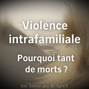 Violence intrafamiliale : pourquoi tant de morts ? Ce que personne n’ose dire, mais que tout le monde devrait entendre. Geneviève SCHMIT