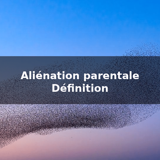Aliénation parentale - Définition